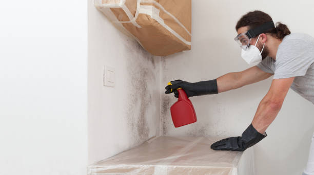Professional Mold Inspection And Testing technician working in Centereach, NY